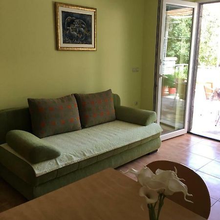 포드고라 Apartman Tatjana 아파트 외부 사진